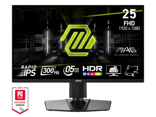 MSI MAG255PXF 25 Inch 300Hz FHD Gaming Monitor